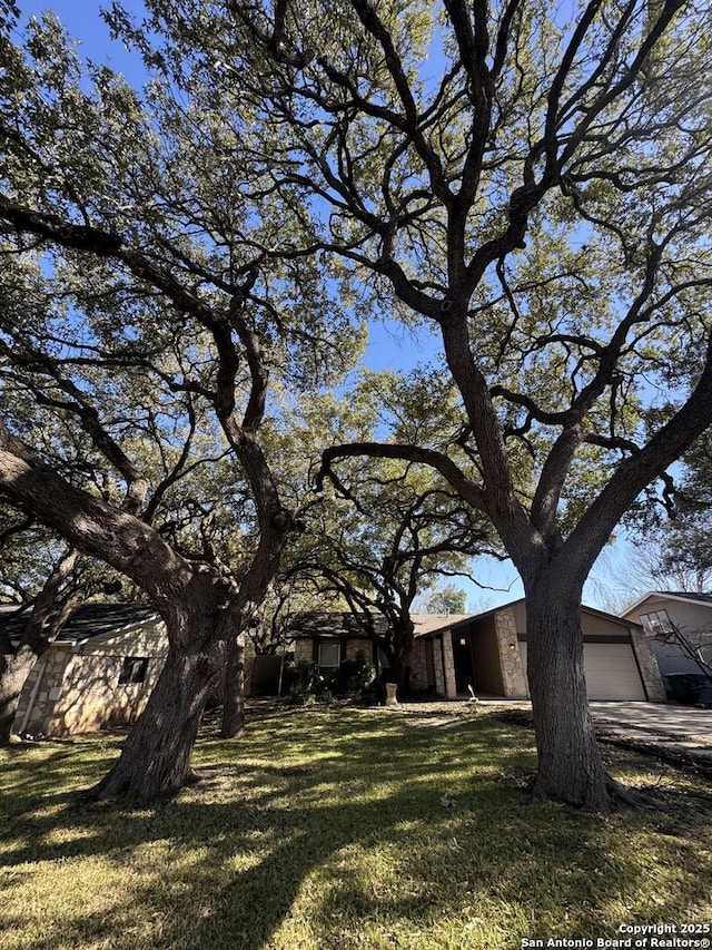 view of yard featuring a garage