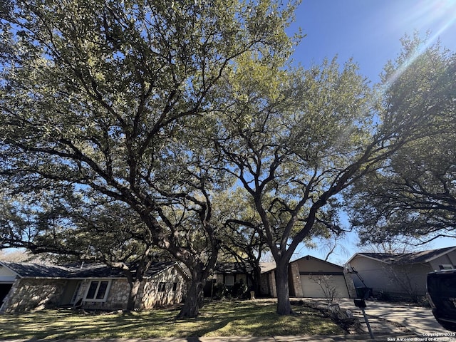 view of yard featuring concrete driveway and a garage