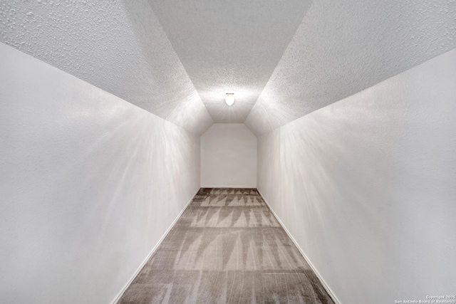 additional living space featuring baseboards, carpet flooring, a textured ceiling, and lofted ceiling