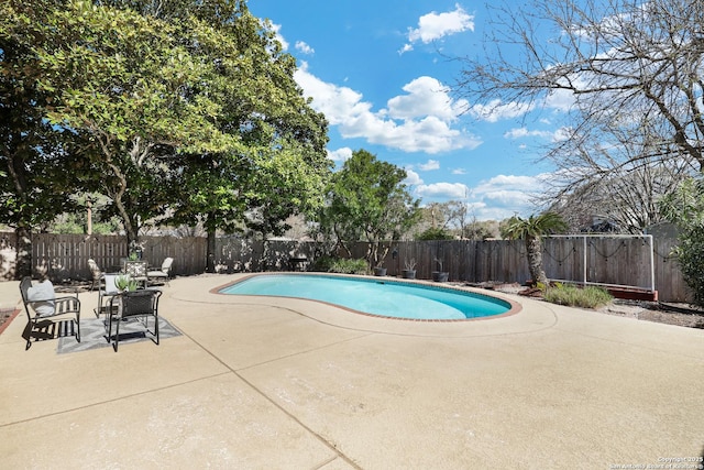 view of swimming pool featuring a fenced in pool, a fenced backyard, and a patio area