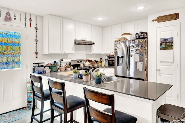 kitchen featuring a sink, white cabinetry, under cabinet range hood, and stainless steel appliances