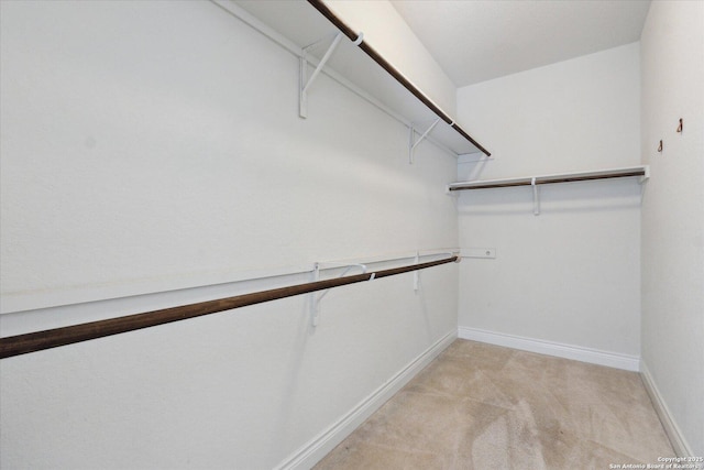 spacious closet featuring light carpet