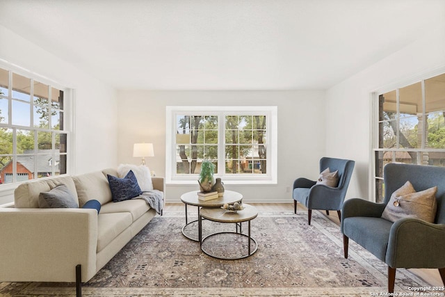 living area featuring baseboards and wood finished floors