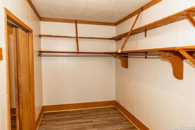 spacious closet featuring wood finished floors