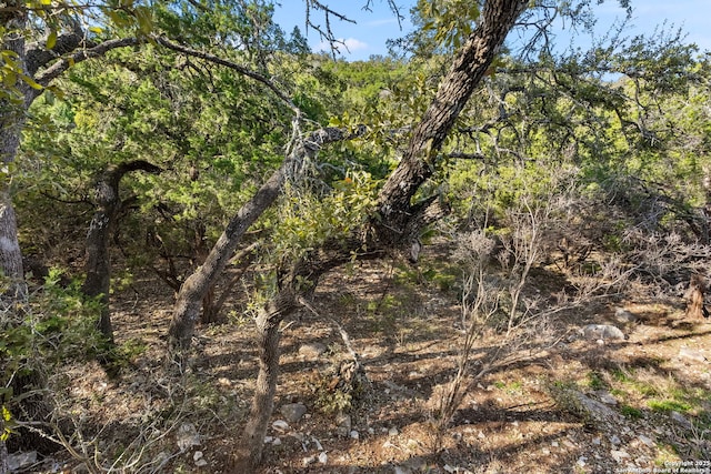 view of landscape featuring a view of trees