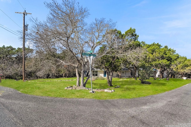 view of property hidden behind natural elements featuring a front lawn