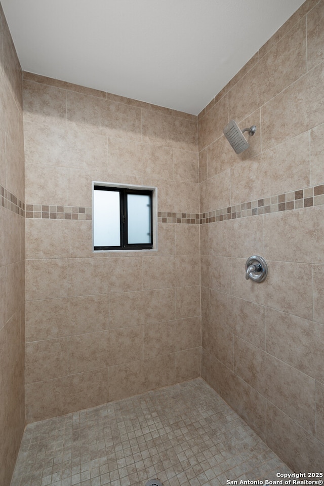 full bathroom with tiled shower