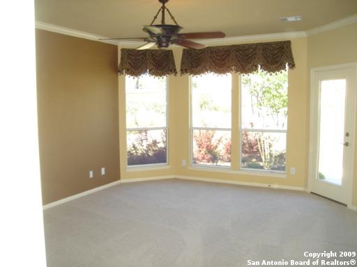 empty room with carpet floors, a ceiling fan, baseboards, and ornamental molding