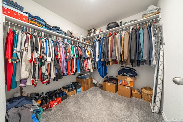 spacious closet featuring carpet floors