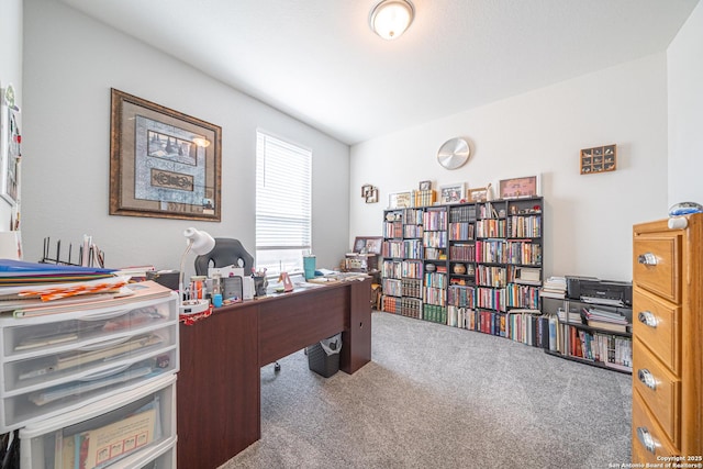 view of carpeted office space