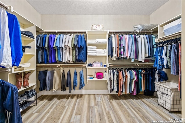 walk in closet with wood finished floors