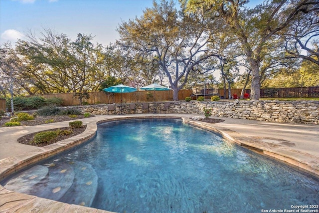 view of pool with a patio area, a trampoline, and a fenced backyard