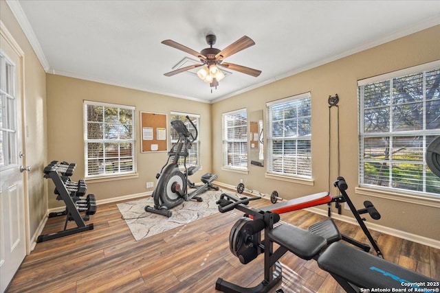 workout room featuring crown molding, wood finished floors, baseboards, and a healthy amount of sunlight