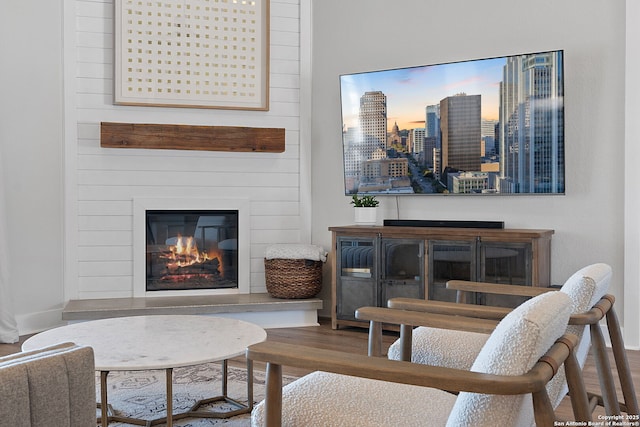 living room featuring wood finished floors and a fireplace