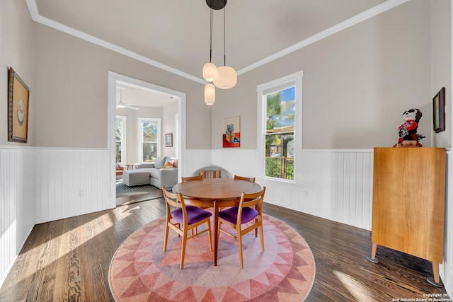 dining space featuring plenty of natural light and a wainscoted wall