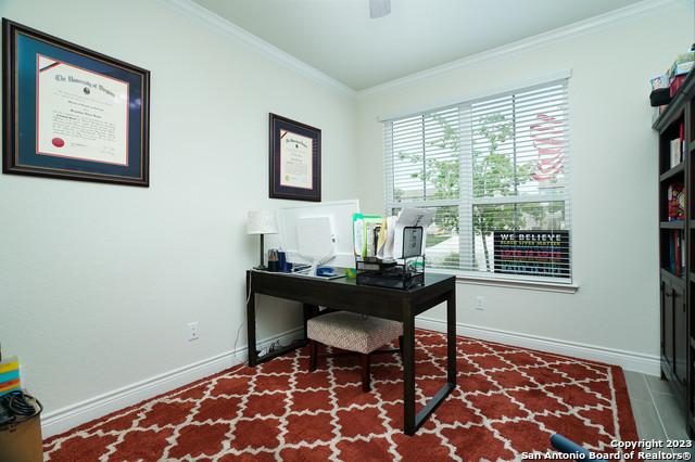 office space with baseboards and ornamental molding