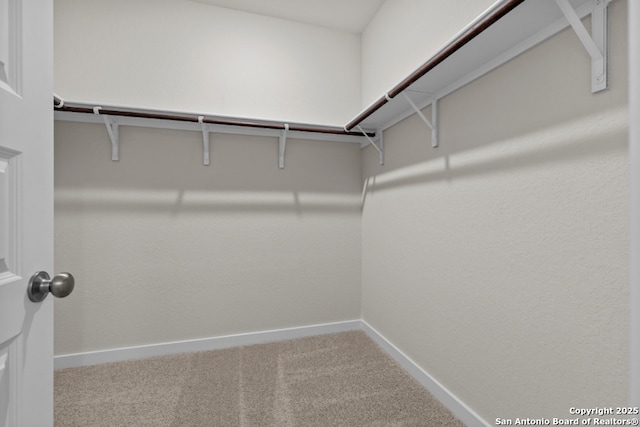 spacious closet with carpet