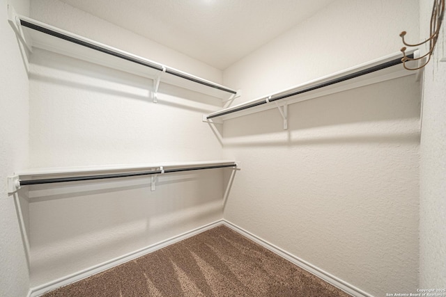 spacious closet with carpet