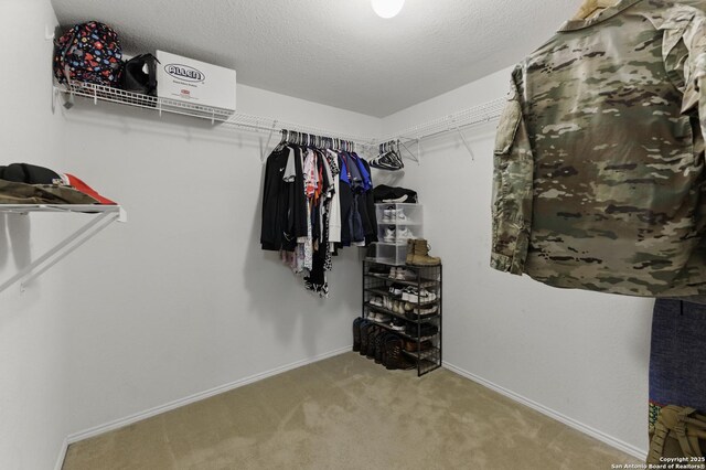 spacious closet featuring carpet flooring