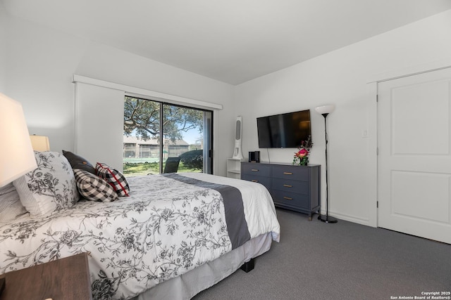 217 T Bar M # B21, New Braunfels, TX 78132 - bedroom with access to exterior and carpet flooring