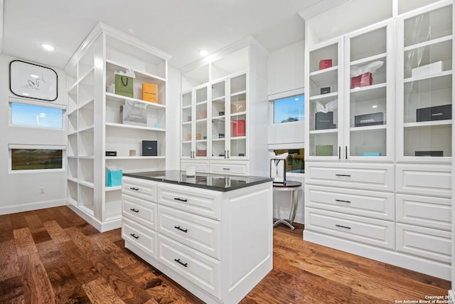 spacious closet featuring dark wood finished floors