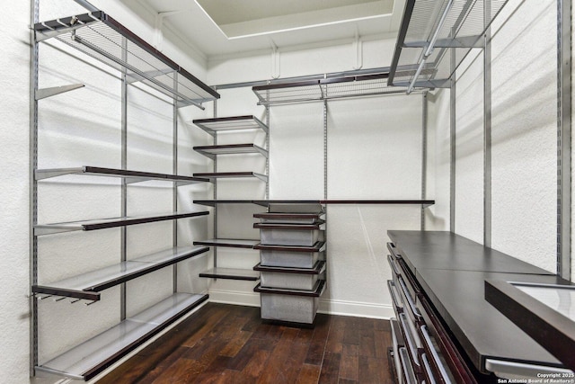 spacious closet featuring wood finished floors