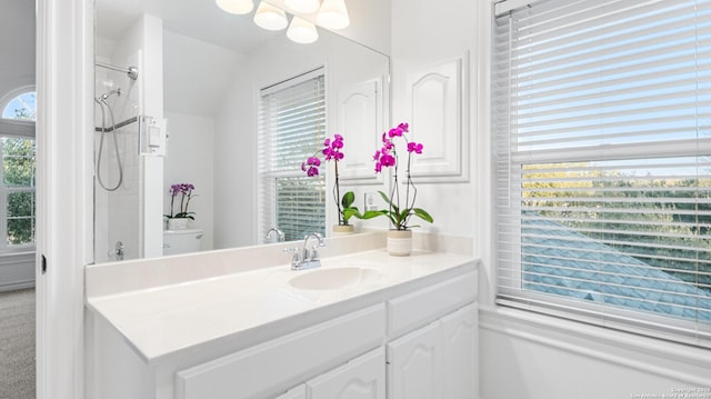 full bath featuring toilet, vanity, and walk in shower