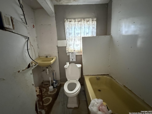 bathroom with a sink, a bathing tub, and toilet