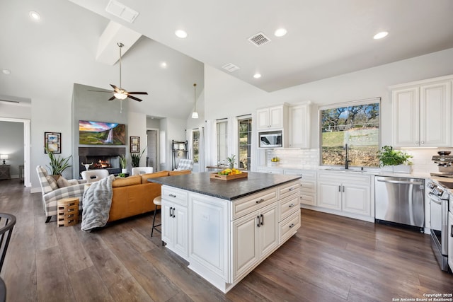 kitchen featuring a lit fireplace, visible vents, a wealth of natural light, and stainless steel appliances