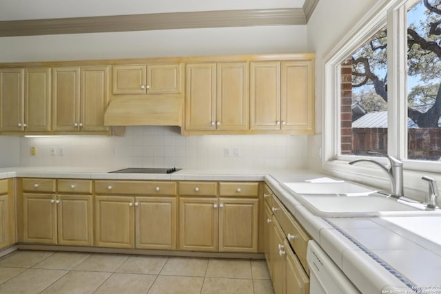 kitchen with tasteful backsplash, range hood, black electric stovetop, and a sink