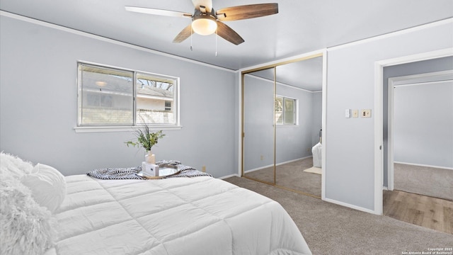 carpeted bedroom with a ceiling fan, baseboards, a closet, and ornamental molding