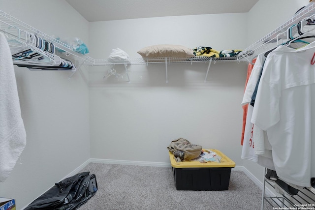 spacious closet with carpet floors