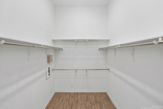 walk in closet with light wood-type flooring