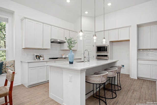 kitchen with under cabinet range hood, light wood-style floors, appliances with stainless steel finishes, and light countertops