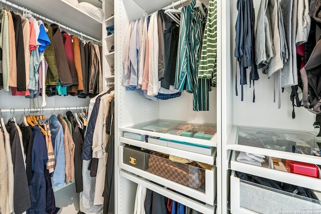 view of walk in closet