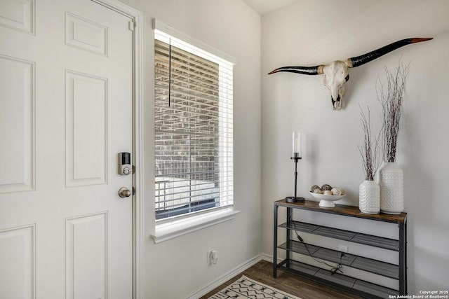 6424 Embankment, San Antonio, TX 78252 - foyer with baseboards, plenty of natural light, and wood finished floors