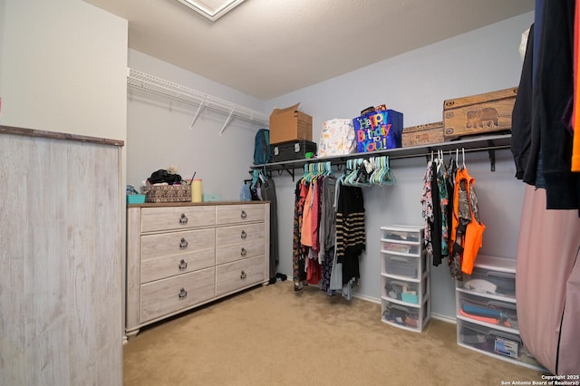 walk in closet with carpet flooring