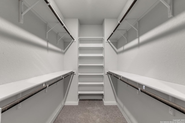 walk in closet featuring light colored carpet