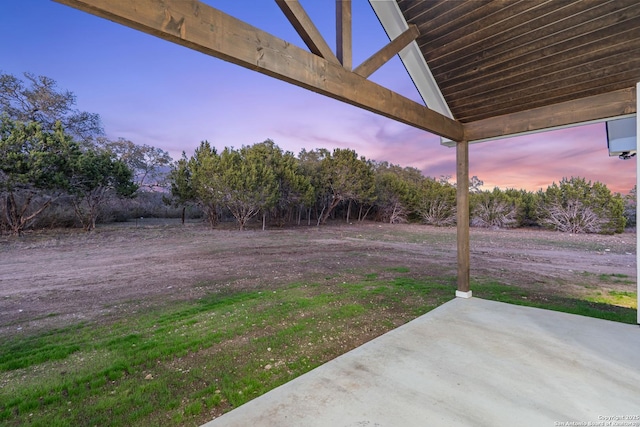 view of yard featuring a patio area