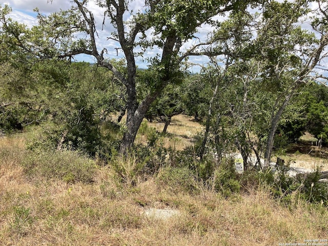 Listing photo 2 for 1296 Linda Dr, Canyon Lake TX 78133