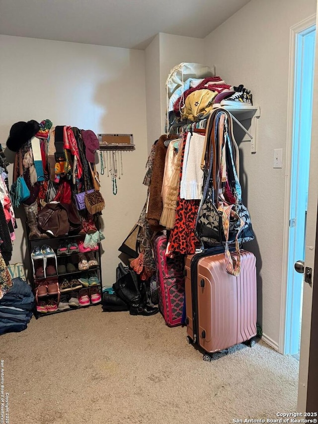 spacious closet featuring carpet flooring