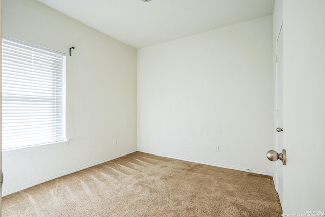 unfurnished room featuring carpet floors