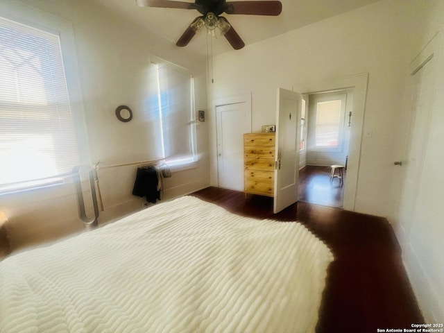 bedroom featuring multiple windows, dark wood finished floors, and a ceiling fan