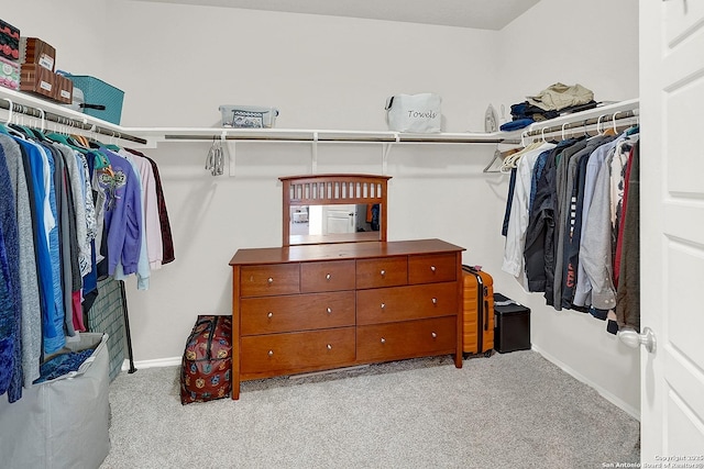 walk in closet with carpet floors