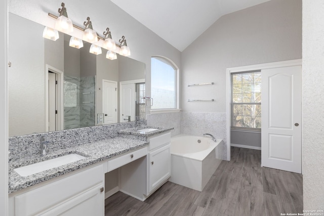 bathroom featuring vaulted ceiling, a wealth of natural light, a shower stall, and a sink