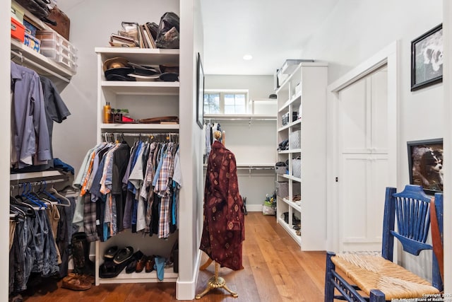 spacious closet with hardwood / wood-style floors