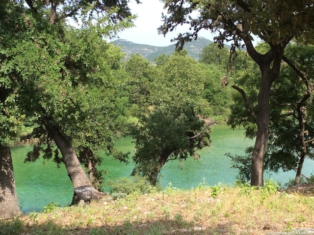 water view featuring a mountain view