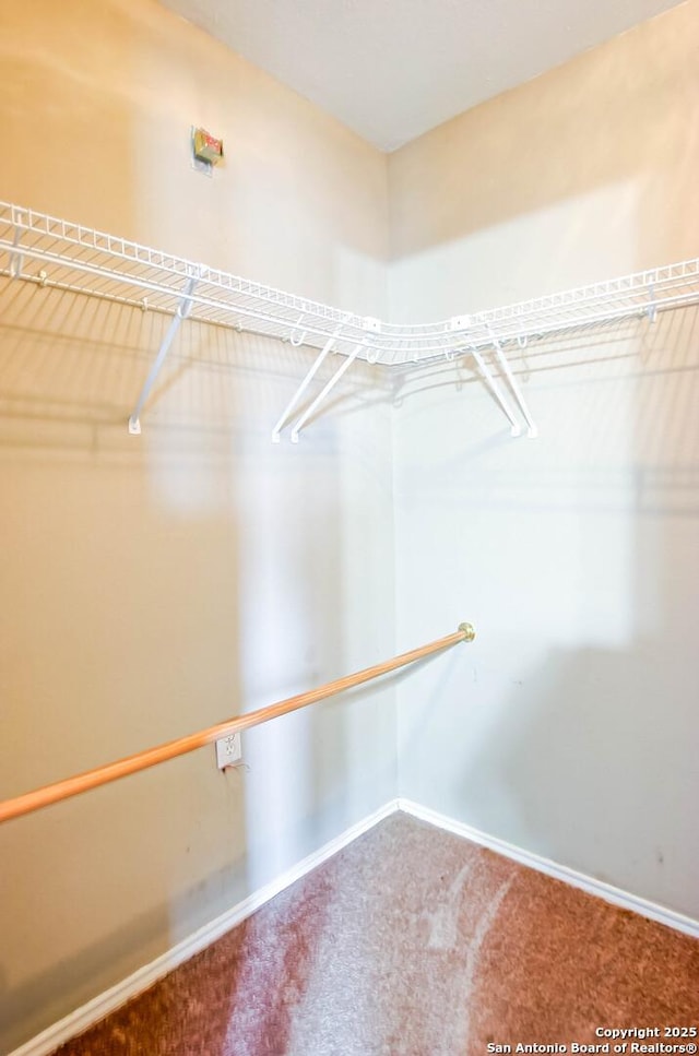 walk in closet featuring carpet flooring