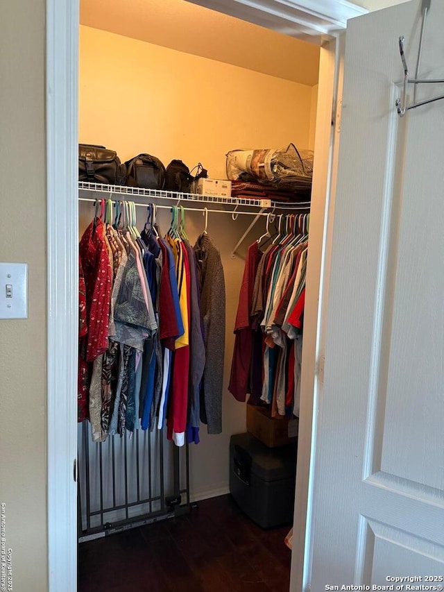 view of spacious closet