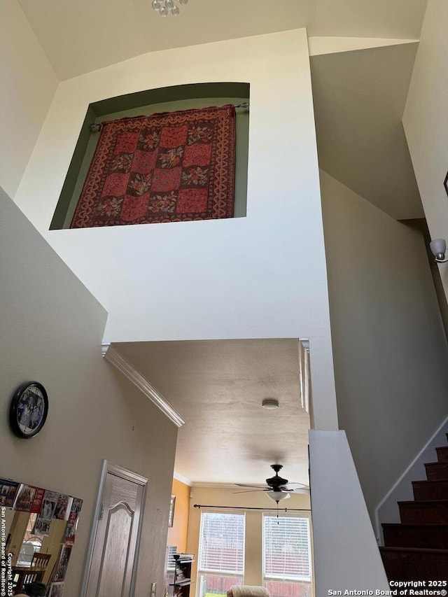 interior details featuring ornamental molding and ceiling fan